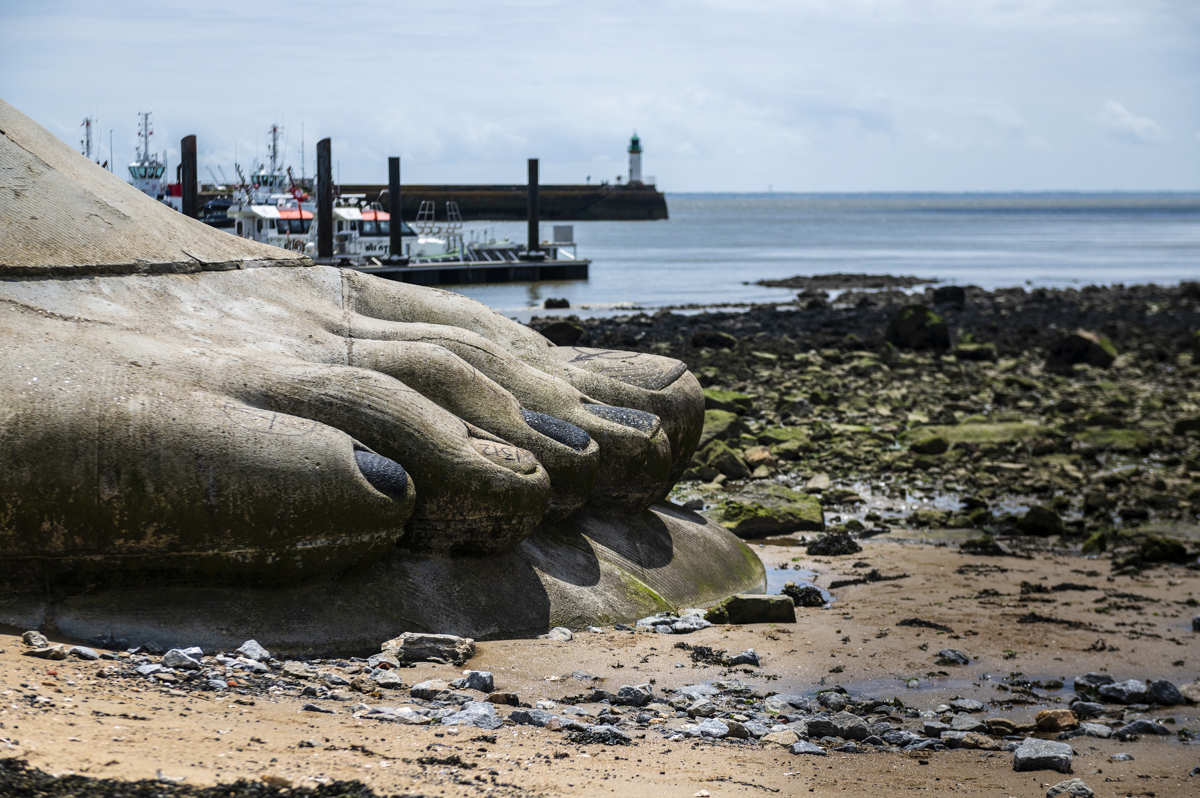 Wat te doen in Nantes - Estuaire